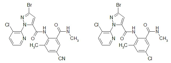 1 1