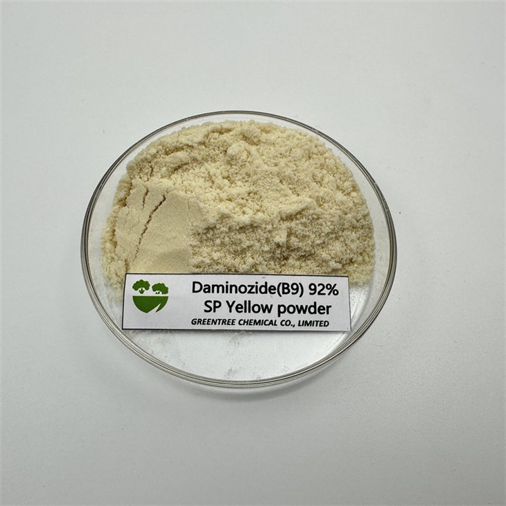 Nº CAS 1596-84-5 Retardador de Crescimento Vegetal B9 Daminozida 92 99sp