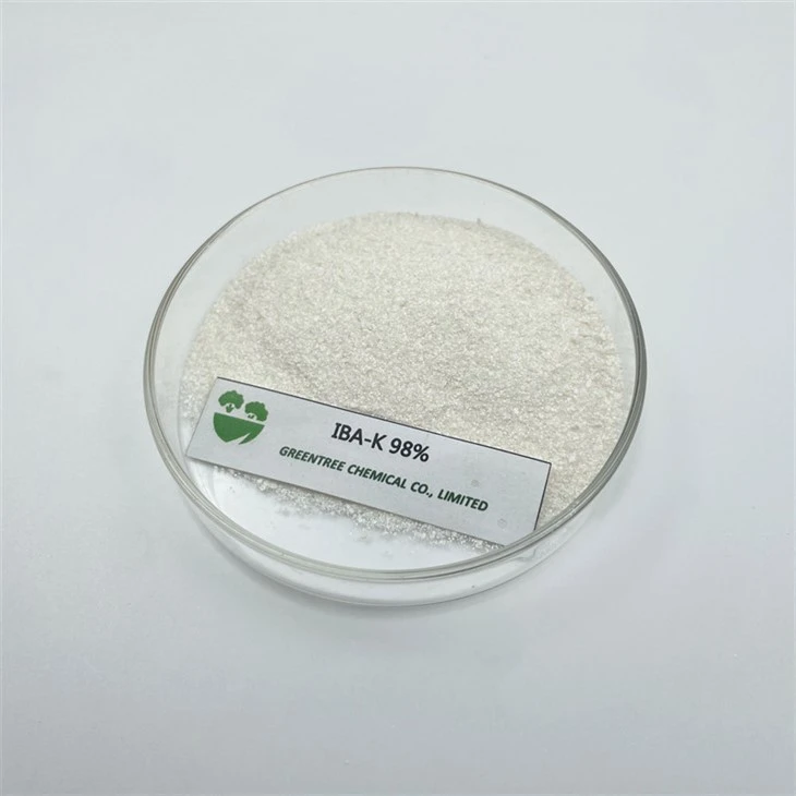 CAS No. 60096-23-3 98% Technical Iba-K Indole Butyric Acid Potassium Salt