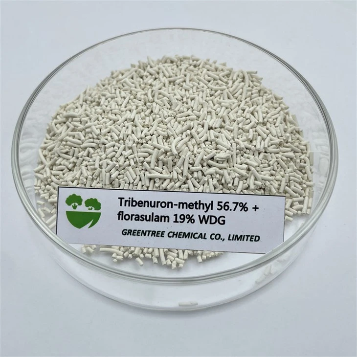 Weedicida Tribenuron Metílico 567 G/Kg + Florasulam 190 G/Kg Wdg