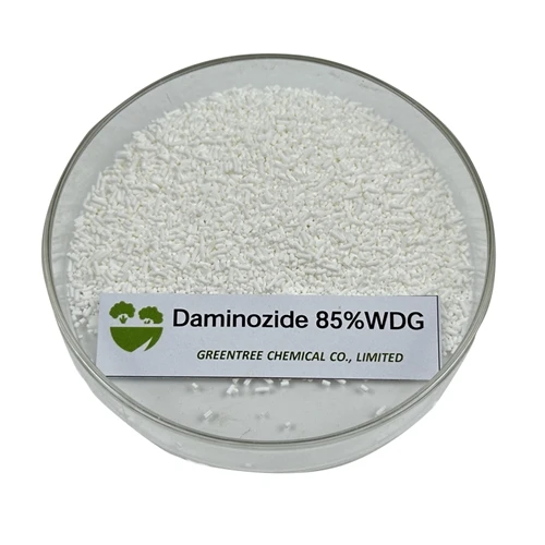 Cliente do Vietnã solicitou Daminozida 85% WDG com sucesso.