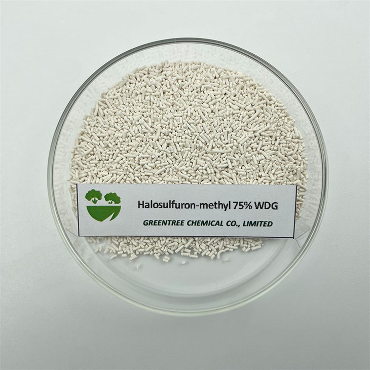 C13H15ClN6O7S Halosulfuron Metil 75% Wdg Herbicida Herbicida